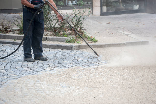 Best Animal Enclosure Cleaning  in Albany, CA