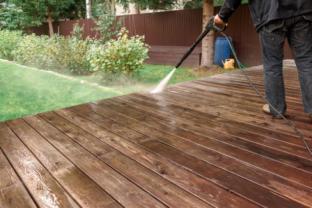 Best Soft Washing  in Albany, CA